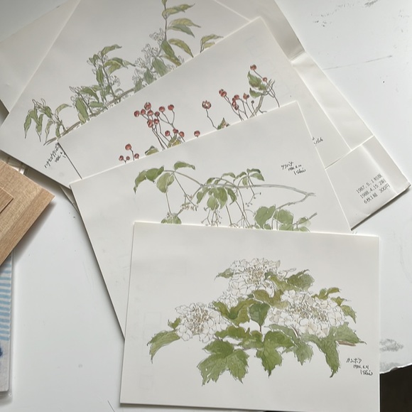 Vintage Japan Postcard lot - Picture 9 of 9